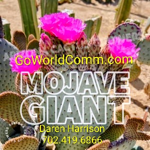 Hello World! Let’s GoWorldComm.